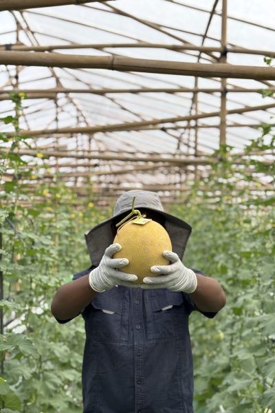 foto pengganti bagian _growing..._
